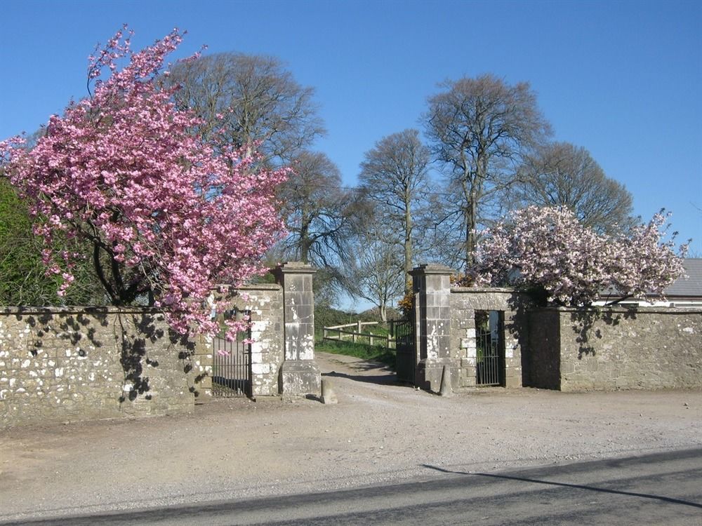 Kilmallock Ash Hill B & B מראה חיצוני תמונה